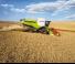 Claas Lexion 780