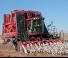 Mähdrescher Case IH Module Express 635