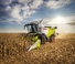 Mähdrescher Claas Trion 660   
