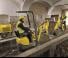 Minibagger Wacker Neuson 803