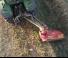 Mulcher Vicon Bromex M plus 250