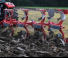 Unia Ibis LS 3+1