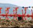 Kuhn Multi-Master 123 6 (5E+1)
