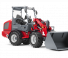 Weidemann 1880