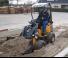 Radlader Giant D 204 SW