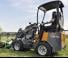 Radlader Giant D 254 SW