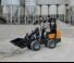 Radlader Giant D 263 SW