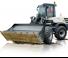 Radlader Schaeff TL 100