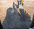 Raupenbagger Case CX490D 