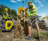 Raupendumper Wacker Neuson DT10