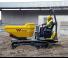 Raupendumper Wacker Neuson DT23