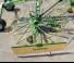 Rotorschwader Krone Swadro 42