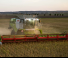 Claas ConVio Flex 1380