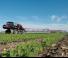 Case IH Patriot® 2250