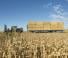 Teleskopen starr Claas Scorpion 7055 Biogas