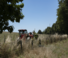 Teleskopen starr Manitou MLT 630-115 D Premium