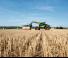 Teleskopen starr Claas Scorpion 635 