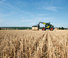 Teleskopen starr Claas Scorpion 736 