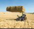 Teleskopen starr Claas Scorpion 738