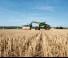 Teleskopen starr Claas Scorpion 960
