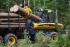 Forstmaschinen Tragschlepper Ponsse Buffalo