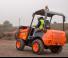 Raddumper Ausa D 201 RHS