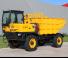 Raddumper Dieci DP 8000