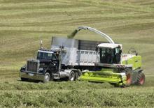 Feldhäcksler 2-WD Claas Jaguar 900