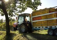 Allrad-Traktoren SAME Frutteto³ S 90.3 DT