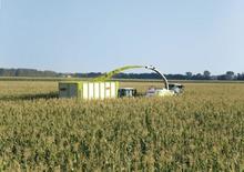 Feldhäcksler 4-WD Claas Jaguar 950
