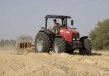 Allrad-Traktoren Massey Ferguson MF 4455