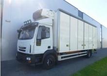 Fahrgestell Iveco EUROCARGO ML160E30