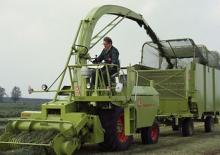Feldhäcksler 2-WD Claas JAGUAR 60 SF