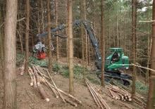Forst-Vollernter Neuson Forest 103HV