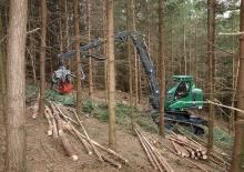 Forst-Vollernter Neuson Forest 103HVT