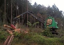 Forst-Vollernter Neuson Forest 183HVT