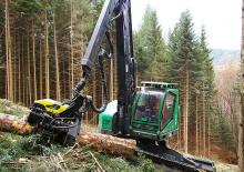 Forst-Vollernter Neuson Forest 243HVT