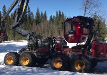 Forst-Vollernter Tigercat H 16 HP