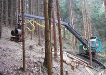 Forst-Vollernter Neuson-Ecotec 182 HVT