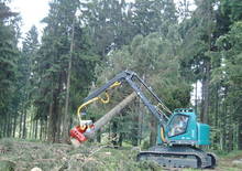 Forst-Vollernter Neuson-Ecotec 242 HV