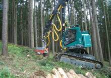 Forst-Vollernter Neuson-Ecotec 242 HVT