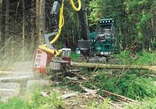 Forst-Vollernter Neuson-Ecotec 9002 HV