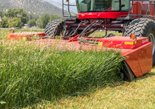 Frontmähwerke Scheiben m. Aufbereiter Massey Ferguson 9316 D