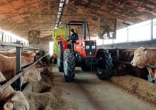 Futtermischwagen Storti Husky DS 90