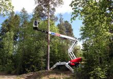 Gelenkarbeitsbühnen auf Rädern Dino Lift Dino 265RXT