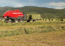 Grosspackenpressen + Hochdruckpressen Massey Ferguson MF 2190 SP