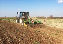 Grubber Kerner Corona C 250