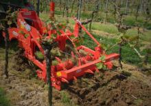 Grubber Maschio Pinocchio 130/3