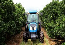 Hinterrad-Traktoren Landini 75F Techno