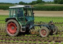 Hinterrad-Traktoren Fendt F 360 GTF